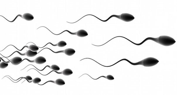 faible quantité du sperme