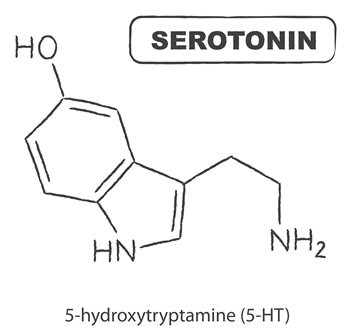 serotonin