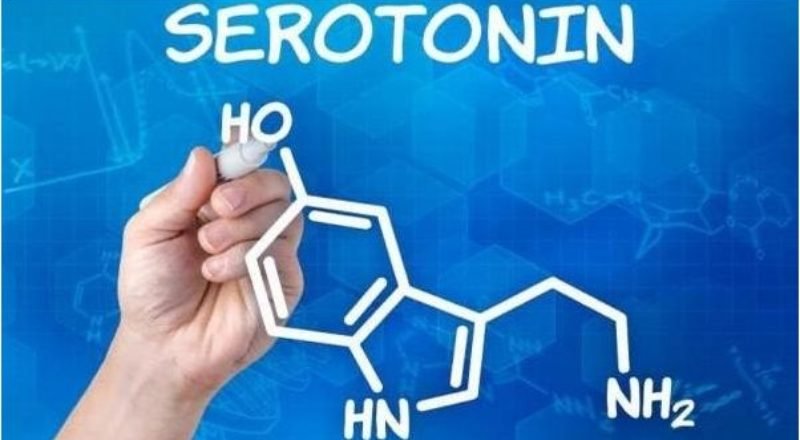 serotonine