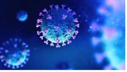 coronavirus