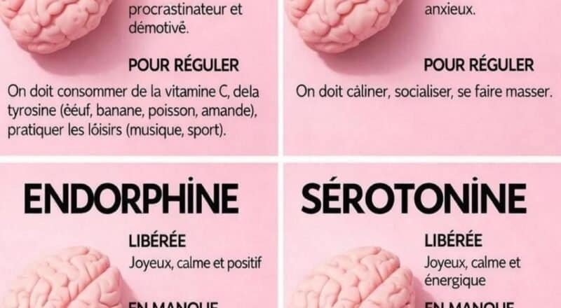 hormones du bonheur